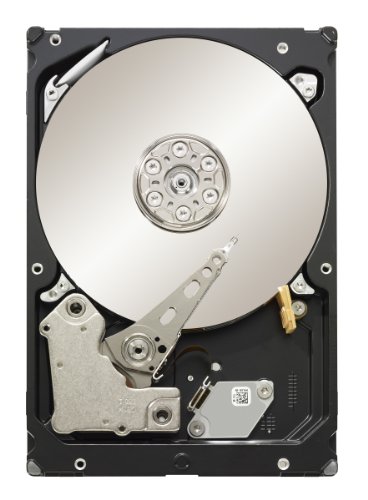 Seagate Constellation ES 7200.1 2 TB 7200 RPM SAS 2.0 6 GB/s 16 MB Cache 3.5-Inch Hard Drive - ST32000444SS