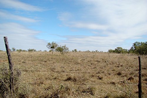 Dell 400-AEFE SED 1TB 7.2K RPM SAS 2.5" HD