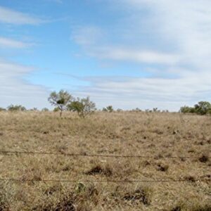 Dell 400-AEFE SED 1TB 7.2K RPM SAS 2.5" HD