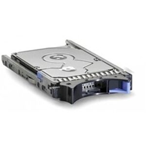 IBM 900 GB 2.5-Inch Internal Hard Drive 81Y9654