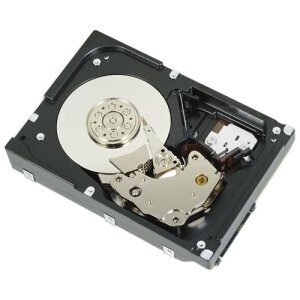Dell 1 TB 3.534; Internal Hard Drive - SAS - 7200 rpm - 9NTH2