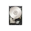 ST3500415SS Seagate Constellation 500GB 7.2K RPM 16MB Buffer 3.5