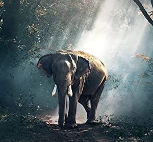 Hewlett Packard 619286-002